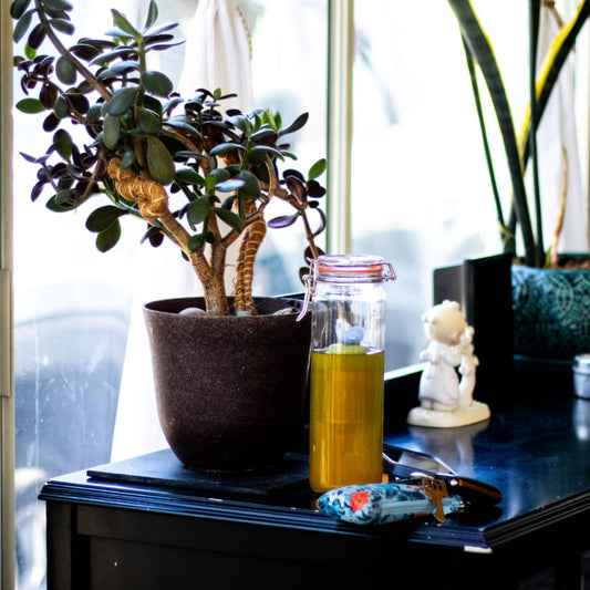 Floating Ocean Blue Whale Tea infuser