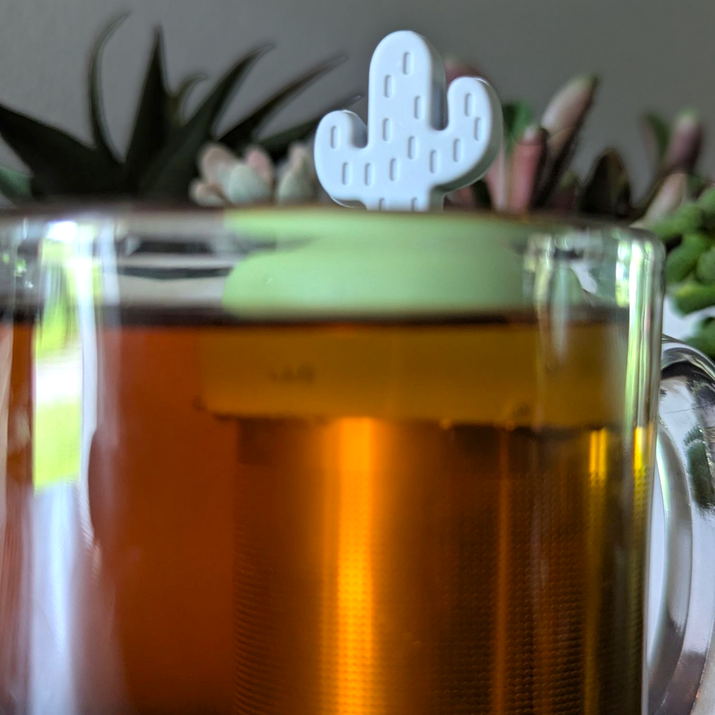 Grey Saguaro Cactus Floating Tea Steeper I Green Base