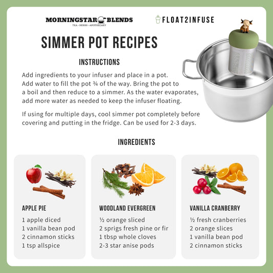 Simmer pot recipe card with ingredients and instructions for Morningstar Blends and Float2Infuse.