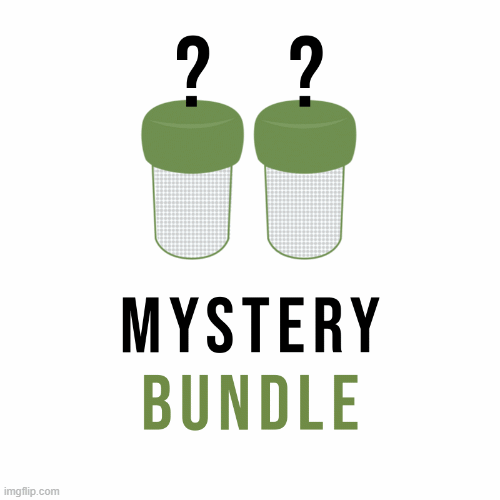 Mystery Tea Infuser Bundle of 2