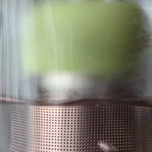 Grey Pug Dog Floating Tea Steeper l green base