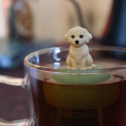 golden retriever dog animal tea infuser for loose leaf tea  with a fine mesh stainless steel tea strainer that reads FLOAT2INFUSE on a green base floating in a glass tea mug with tea kettle in the background